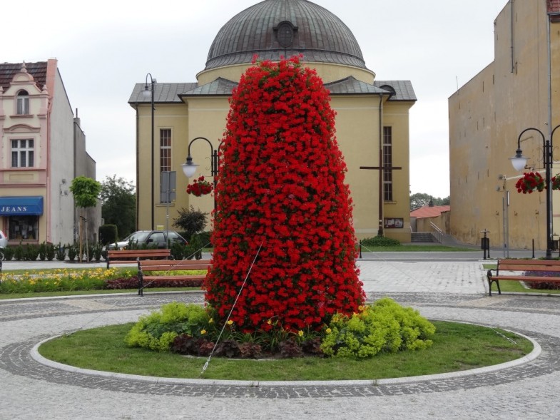 kwietniki miejskie terra (2)