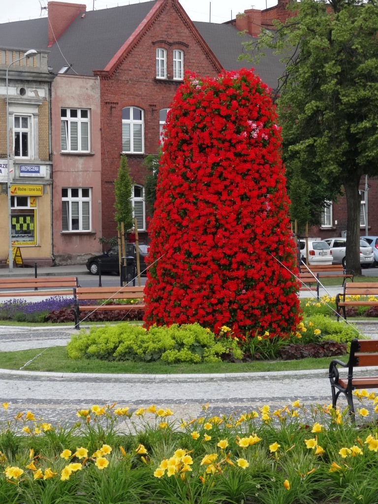 kwietniki miejskie terra (7)