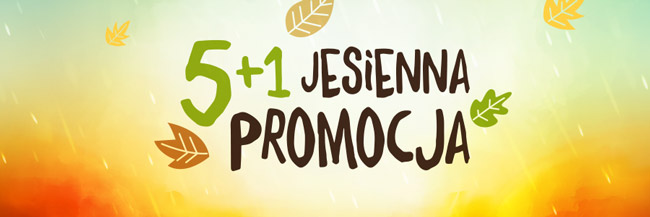 jesienna promocja 5+1 terra group