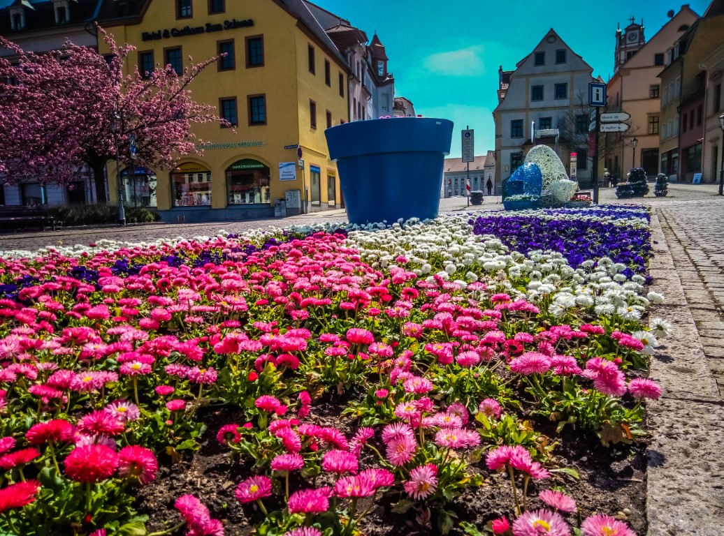 Fotonachweis Stadtgärtnerei Oschatz ażurowe dekoracje wieże kwiatowe kwietniki miejskie 5