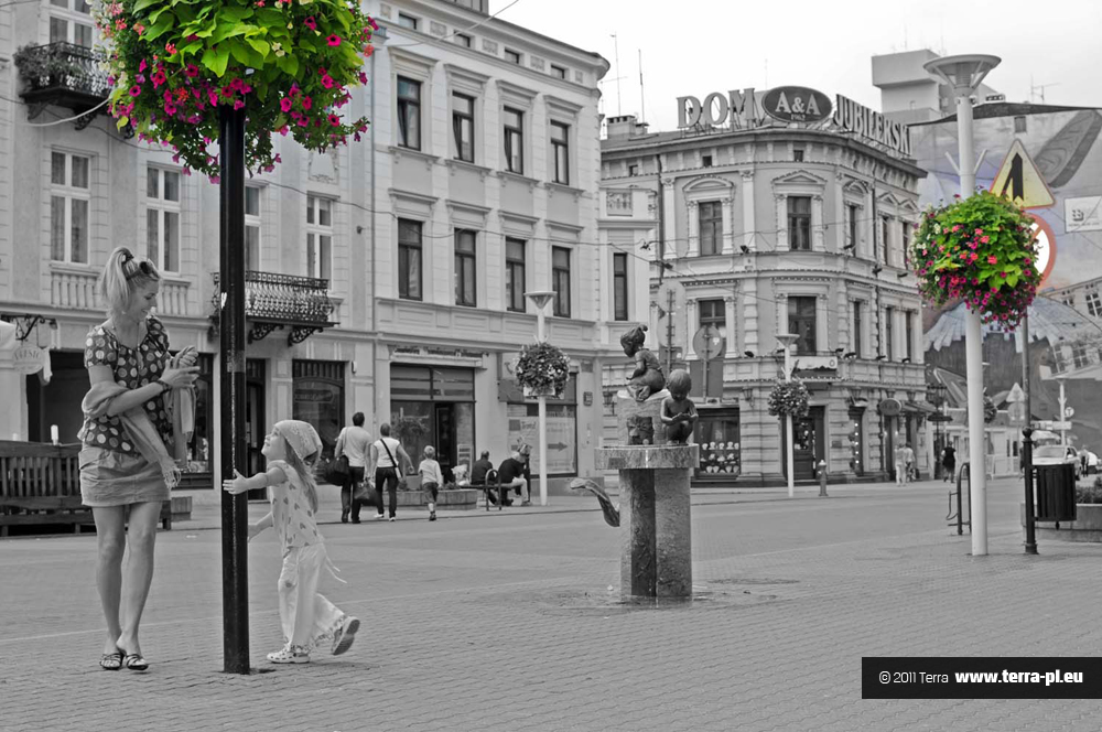 kwiaty w mieście Łódź2