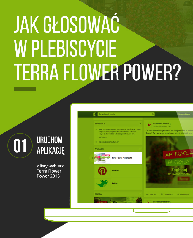 tutorial Terra Flower Power - głosowanie krok 1