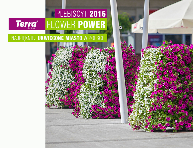 terra flower power 2016 - logo