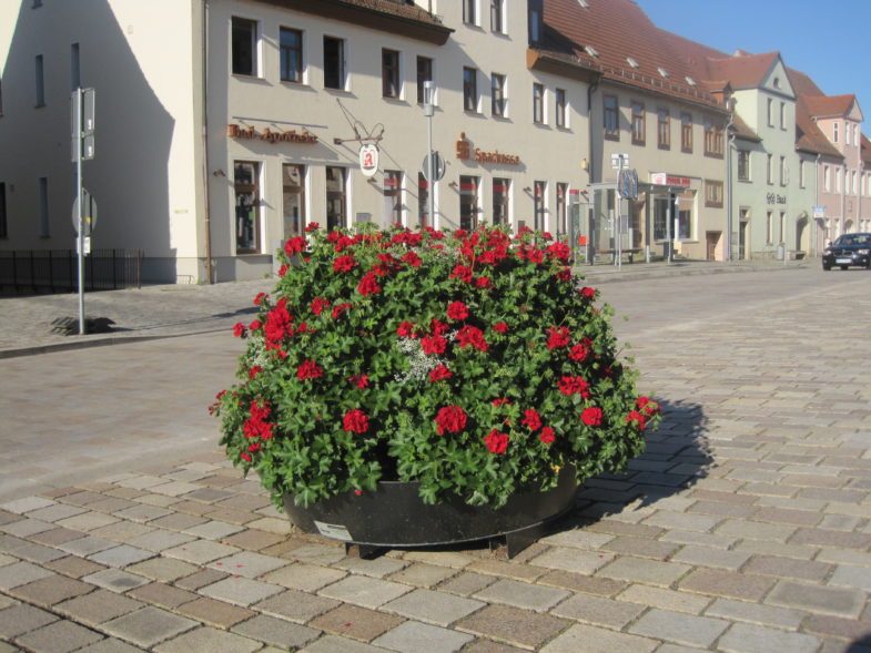 ukwiecenie miasta terra wieże kwiatowe niemcy (4)