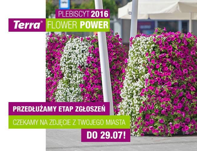 terra flower power