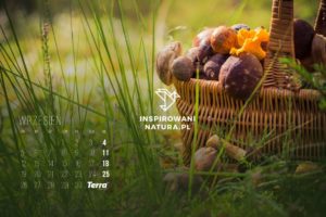 kalendarz wrzesien 2016 inspirowani natura