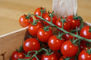 Balkonowa uprawa pomidorów