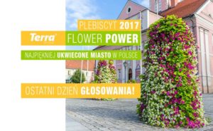 Plebiscyt Terra Flower Power 2017 - kto wygra?