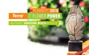 Terra Flower Power – czekamy na wasze głosy w plebiscycie na najpiękniej ukwiecone miasto!