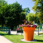 ukwiecenie miasta lubin wieże kwiatowe donice miejskie meble miejskie 29