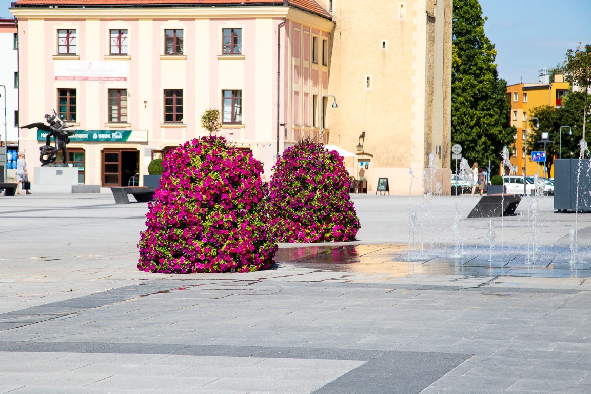 ukwiecenie miasta lubin wieże kwiatowe donice miejskie meble miejskie 4