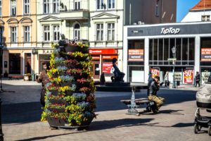 wielkanocne dekoracje ażurowe pisanki miejskie wieże kwiatowe wiosenne ukwiecenie terra
