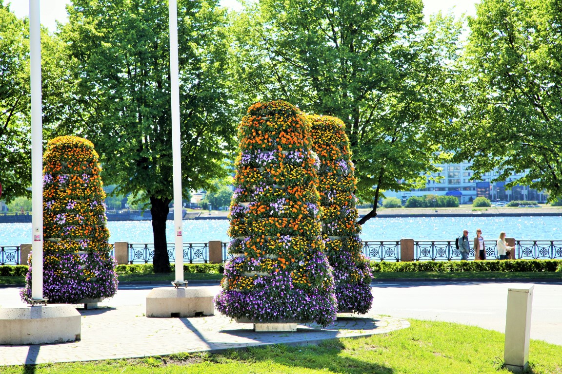 wieże kwiatowe kwietniki miejskie terra ryga 1