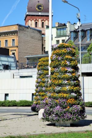 wieże kwiatowe kwietniki miejskie terra ryga 3