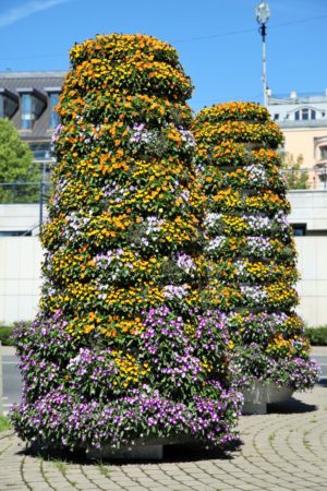 wieże kwiatowe kwietniki miejskie terra ryga 6
