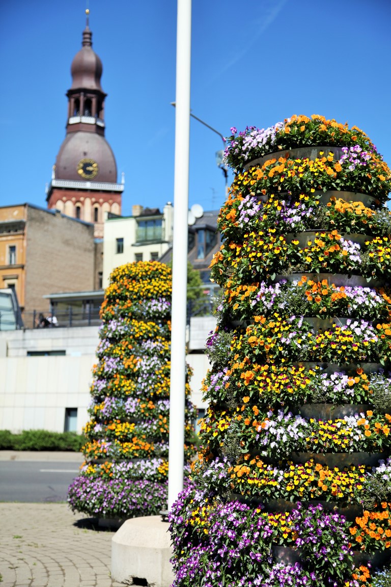 wieże kwiatowe kwietniki miejskie terra ryga 9