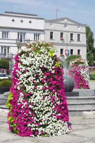 terra flower power, plebiscyt inspirowanych naturą, najpiękniej ukwiecone miasto w polsce, wieże kwiatowe, kwietniki