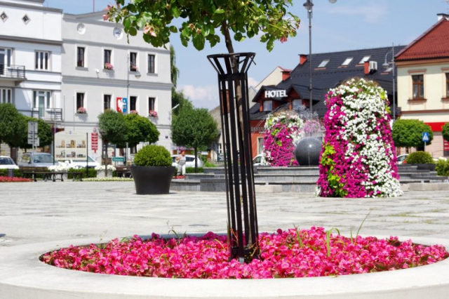 terra flower power, plebiscyt inspirowanych naturą, najpiękniej ukwiecone miasto w polsce, wieże kwiatowe, kwietniki