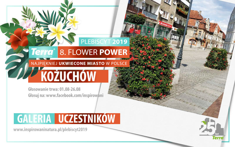 Plebiscyt 2019 – Kożuchów 7 baner miasto szablon 2019 kozuchow