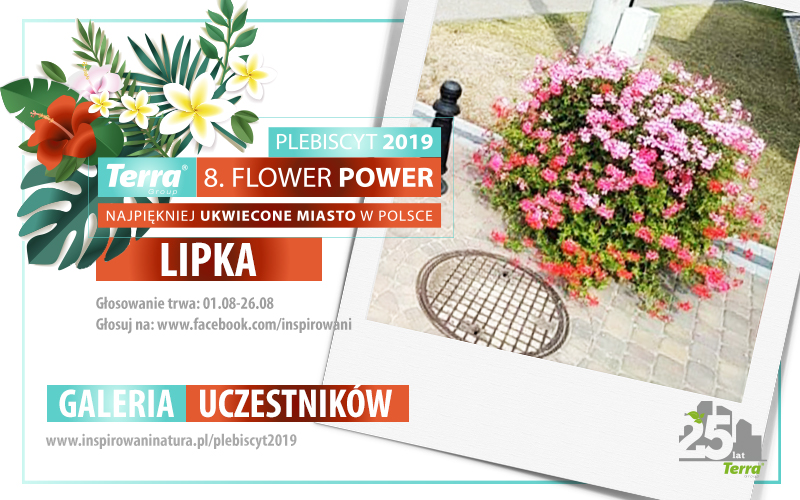 Plebiscyt 2019 - Lipka 4 baner miasto szablon 2019 lipka