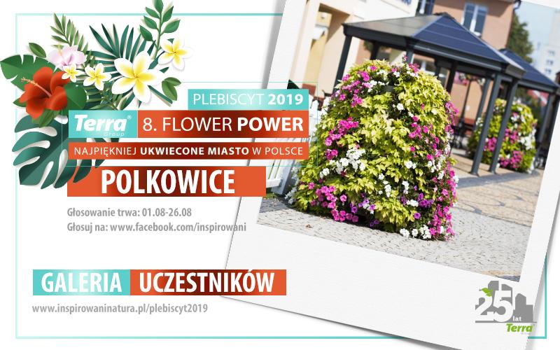 Plebiscyt 2019 – Polkowice 6 baner miasto szablon 2019 polkowice