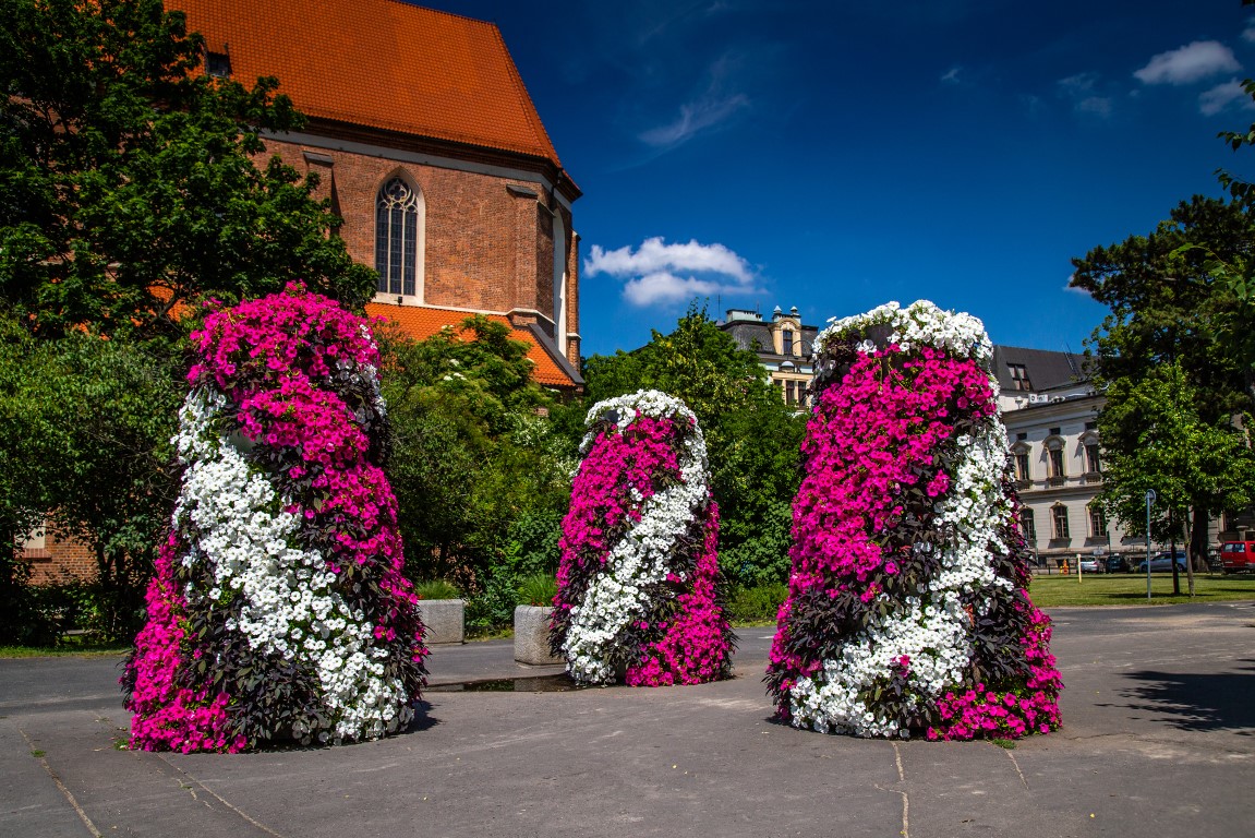 wieże kwiatowe ukwiecenie miasta wrocław 1