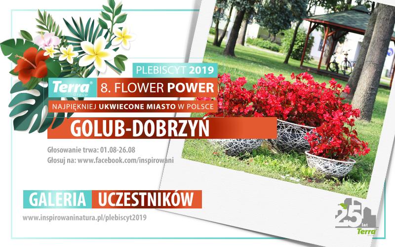 baner miasto szablon 2019 Golub Dobrzyn