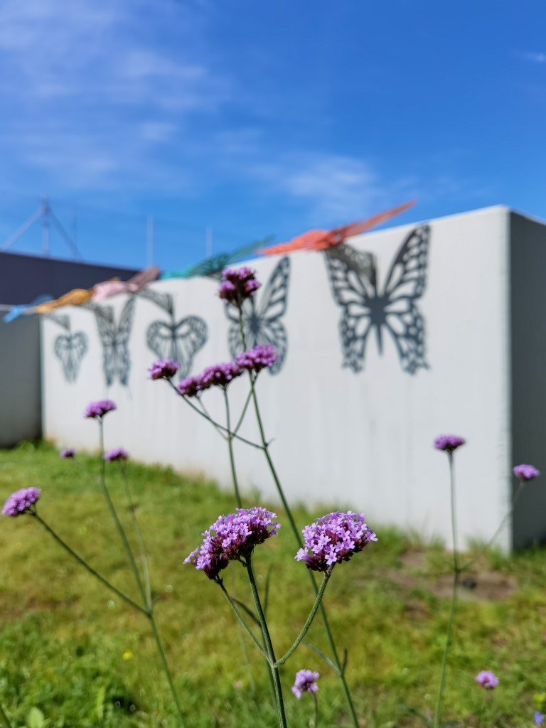 Sloneczne Motyle na scianie w Forum Gdansk 4