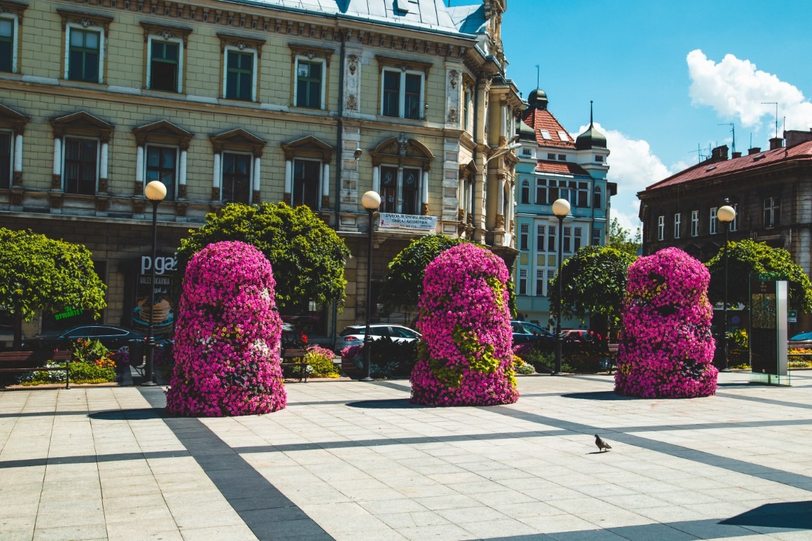 bielsko biala terra flower power lawki miejskie wieze kwiatowe 2