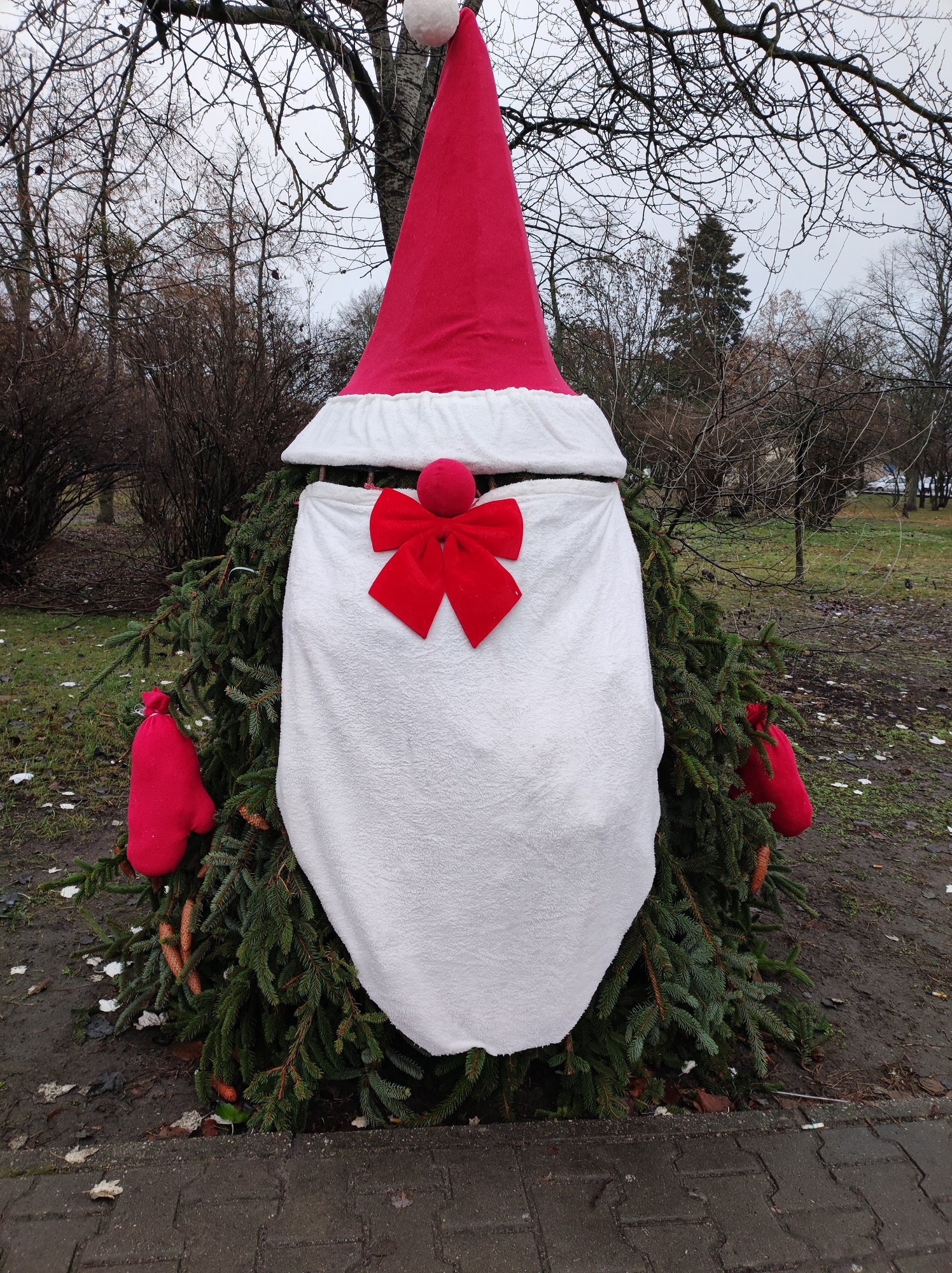 naturalna-dekoracja- świąteczna na placu Berwińskiego w Zaniemyślu (Gminny Ośrodek Kultury w Zaniemyślu, Gmina Zaniemyśl) (2)