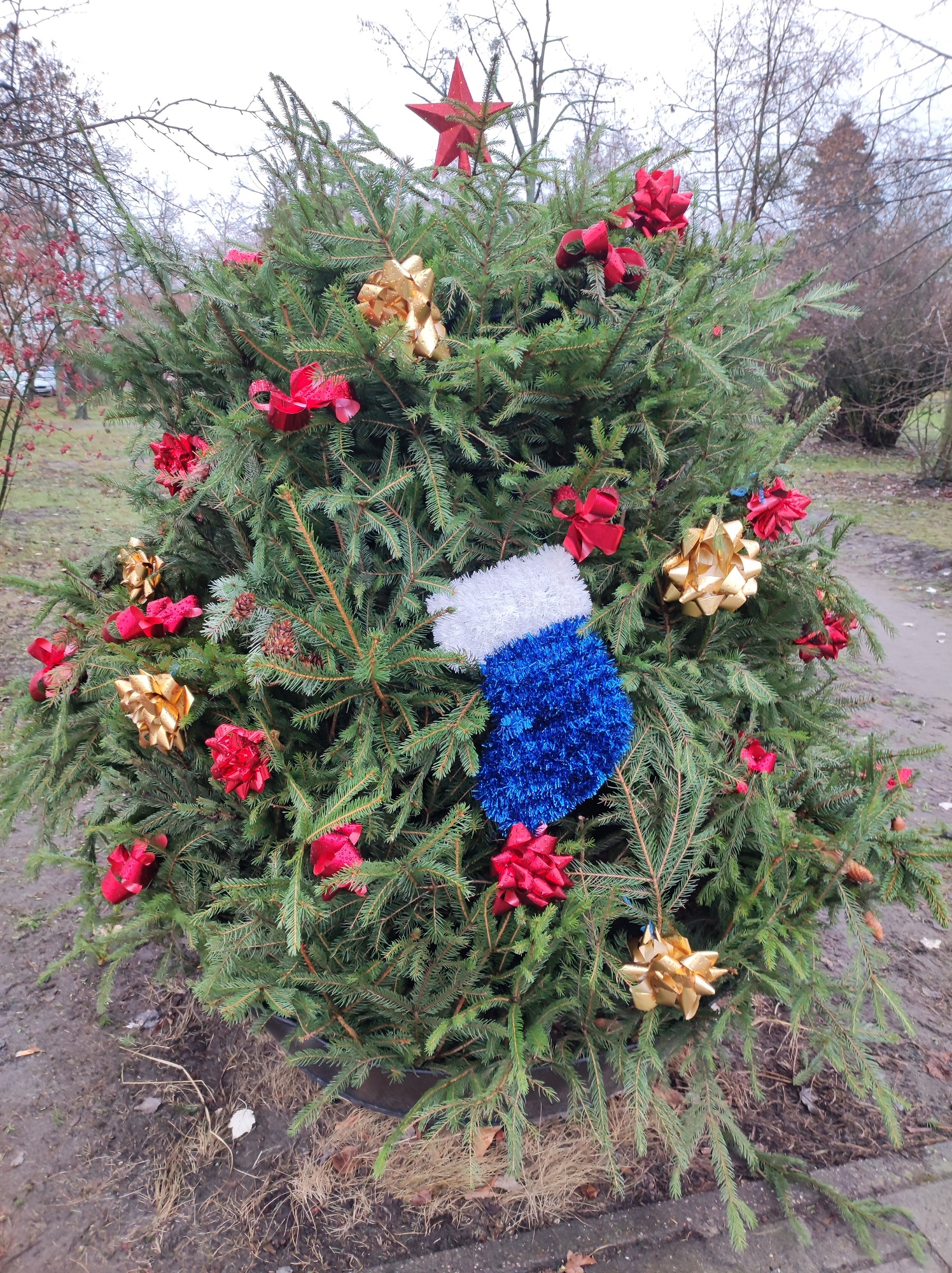 dekoracje świąteczne na placu Berwińskiego w Zaniemyślu (Gminny Ośrodek Kultury w Zaniemyślu, Gmina Zaniemyśl) (3)