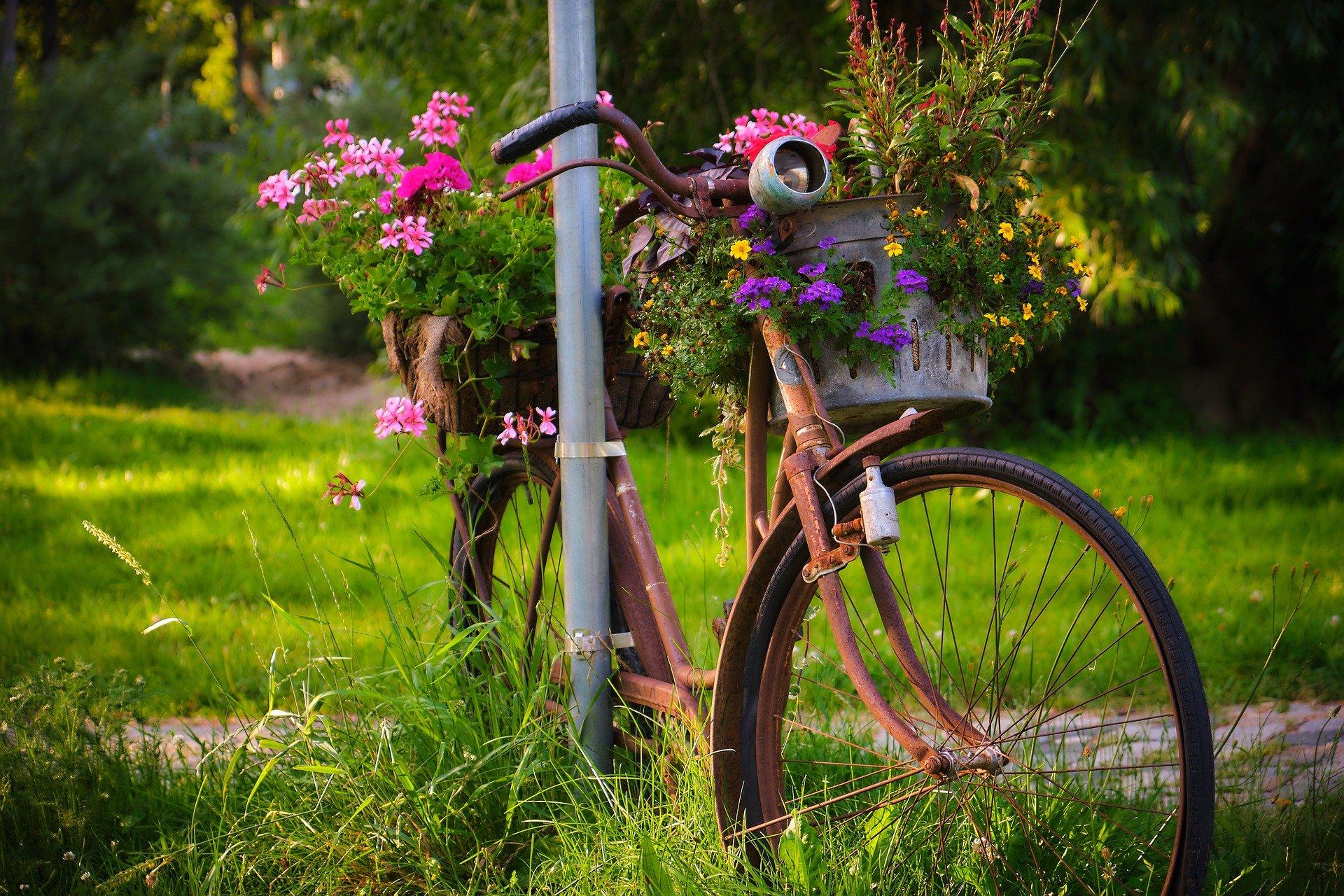 rower-kwietnik-street-art