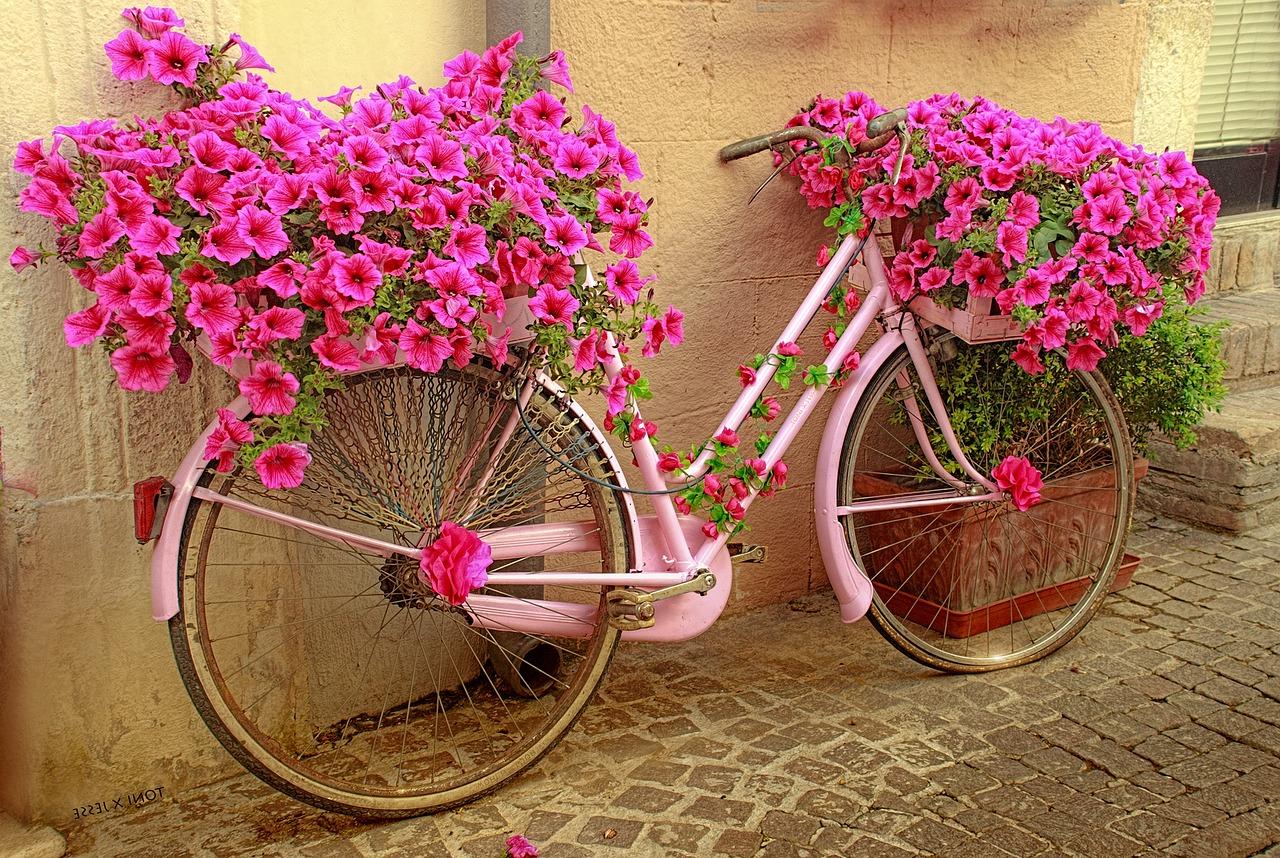 rozowy-rower-z-kwiatami