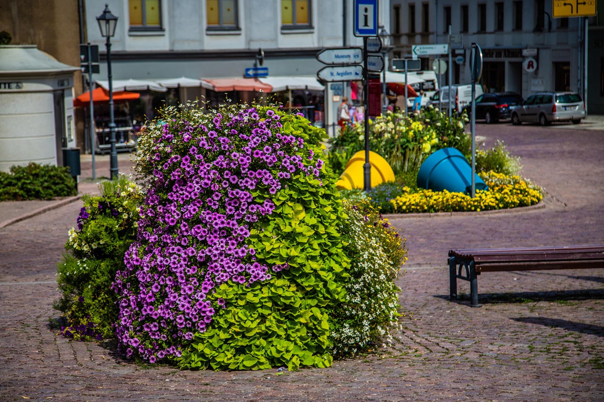 skwer-miejski-wieze-kwiatowe-najpiekniejsza-zielen-miejska